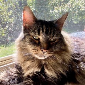 Meet your Posher, Rachelle